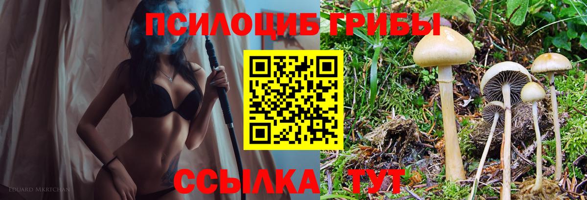 Псилоцибиновые грибы прущие грибы Химки