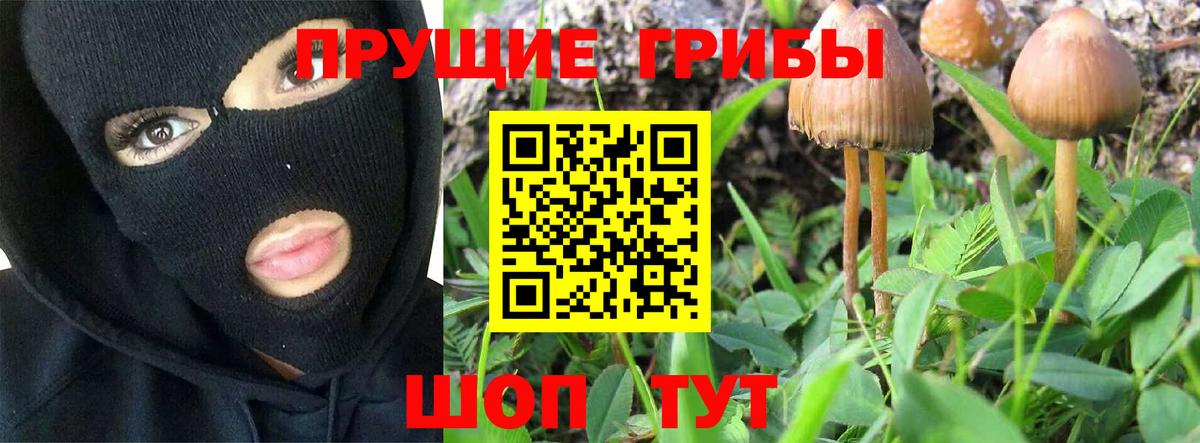 Галлюциногенные грибы Psilocybine cubensis  Вход с VPN  Химки  Псилоцибиновые грибы мицелий 